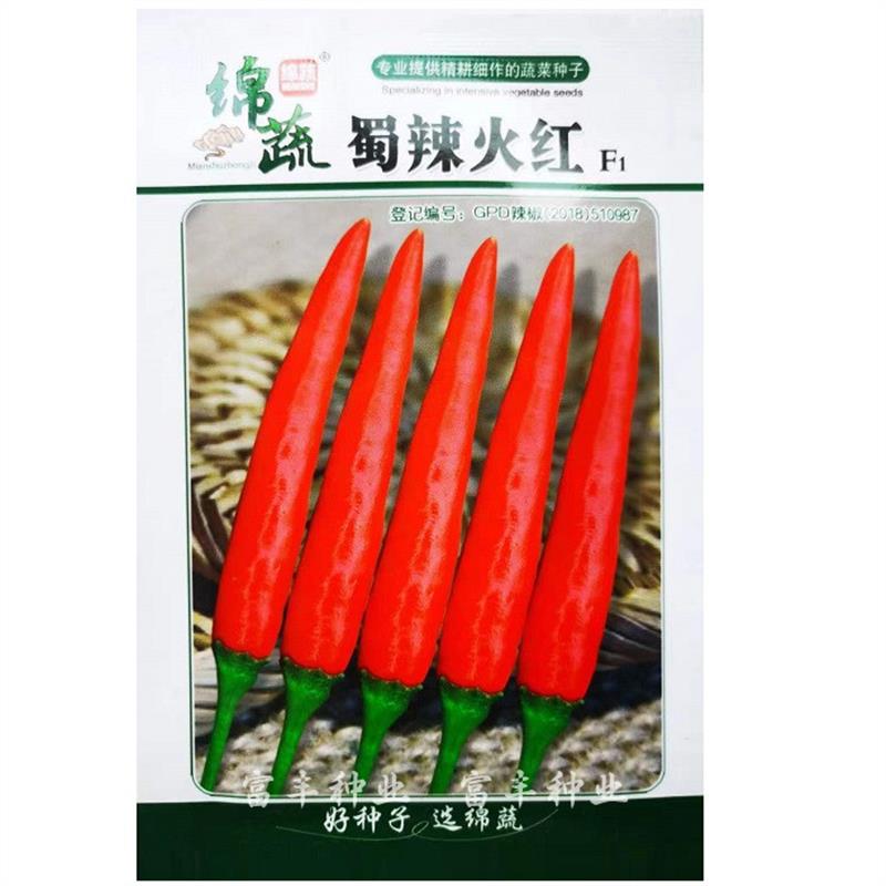 绵蔬 蜀辣鸿艳 蜀辣火红朝天椒种子超辣大红单生指天椒尖椒种子