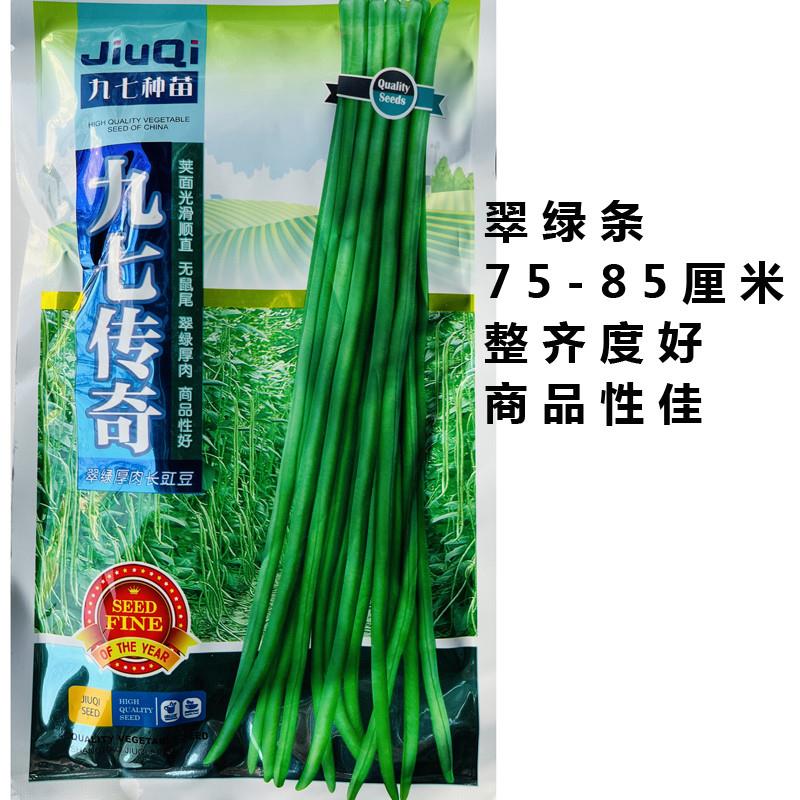 特长绿豇豆种子青条长豆角春季四季播阳台盆栽高产蔬菜种孑菜籽苗