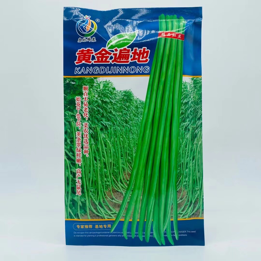 黄金遍地长豆角种子高品质蔬菜种顺直耐老化无鼠尾翠绿色豇豆种籽