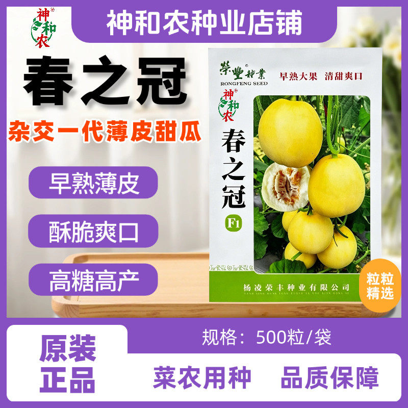 春之冠F1甜瓜种子早熟大