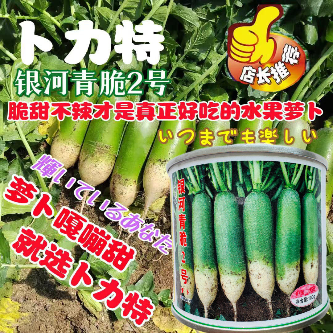 银河青脆2号水果萝卜种
