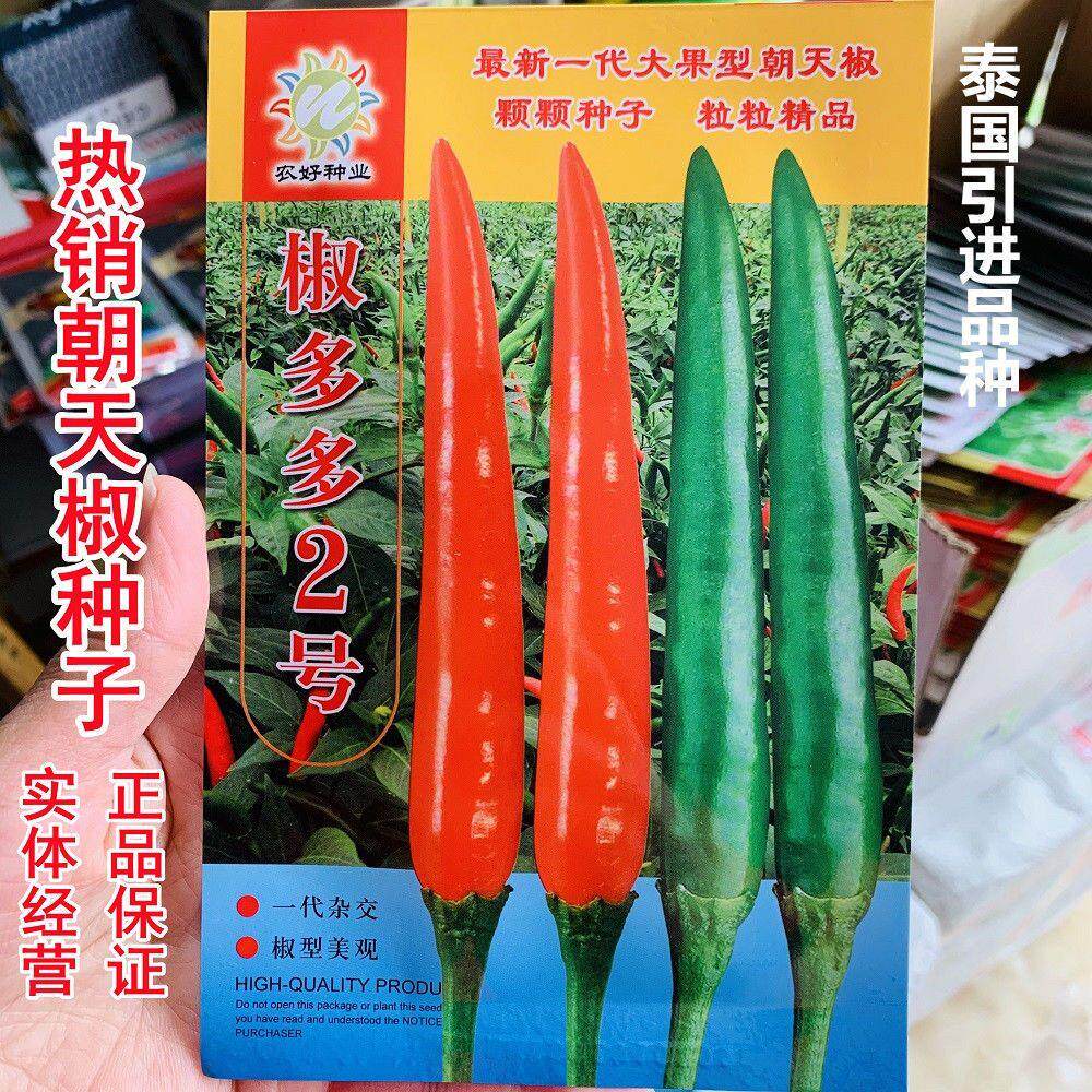 原包装椒多多2号朝天椒种子 大果型米椒种子泰国引进辣椒种籽