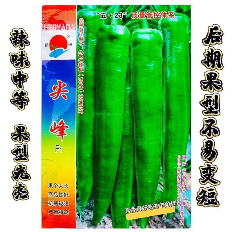 镇研辣椒种尖峰椒王早中熟粗长羊角形果形顺直中辣春秋种大田专用