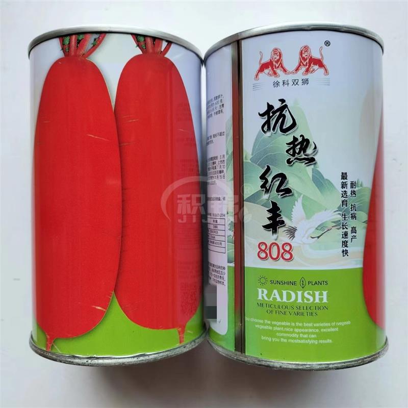 抗热红丰808萝卜种子高产抗病耐热农家春秋孑红皮白肉红萝卜种籽