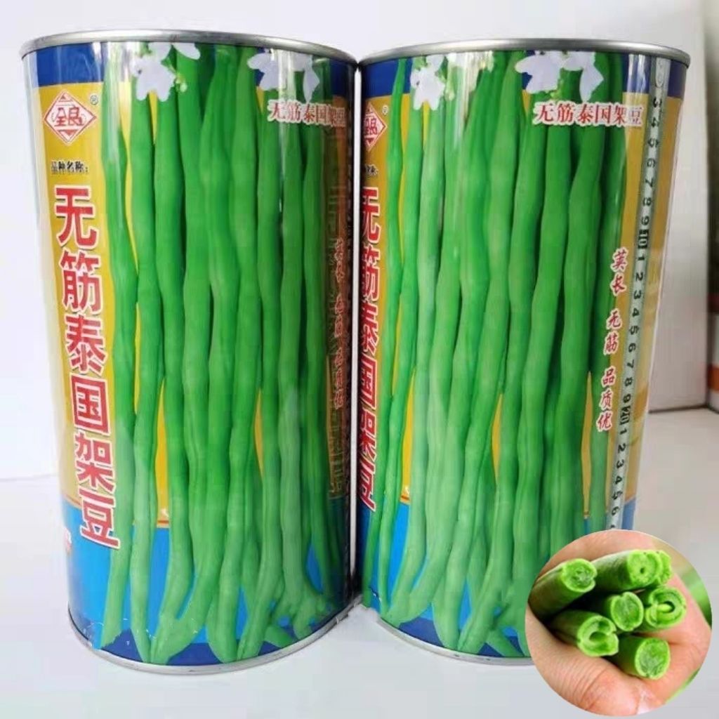 架豆王无筋泰国架豆种子籽四季豆芸豆高产厚肉抗病抗热春秋播高产