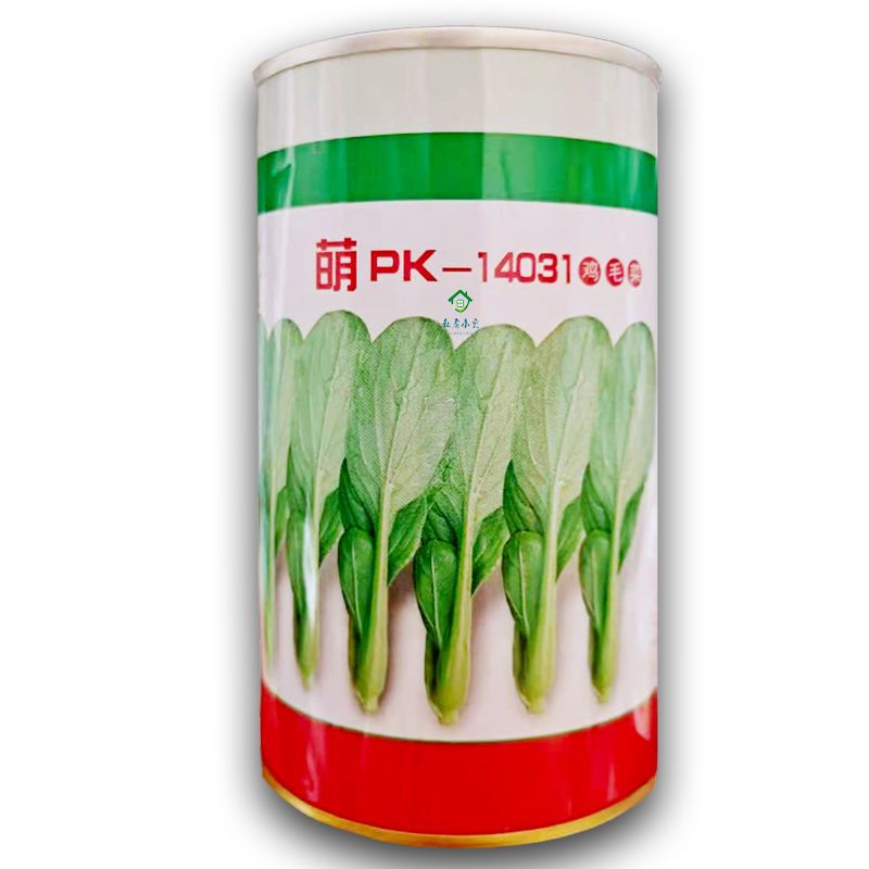 微萌PK14031 鸡毛菜种子耐热青菜抗病耐雨水生长速度快大田用种孑 - 实物图