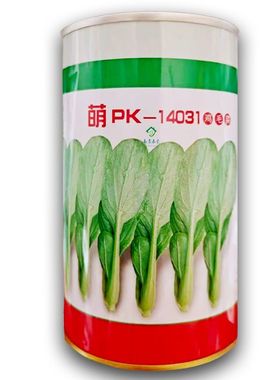 微萌PK14031 鸡毛菜种子耐热青菜抗病耐雨水生长速度快大田用种孑