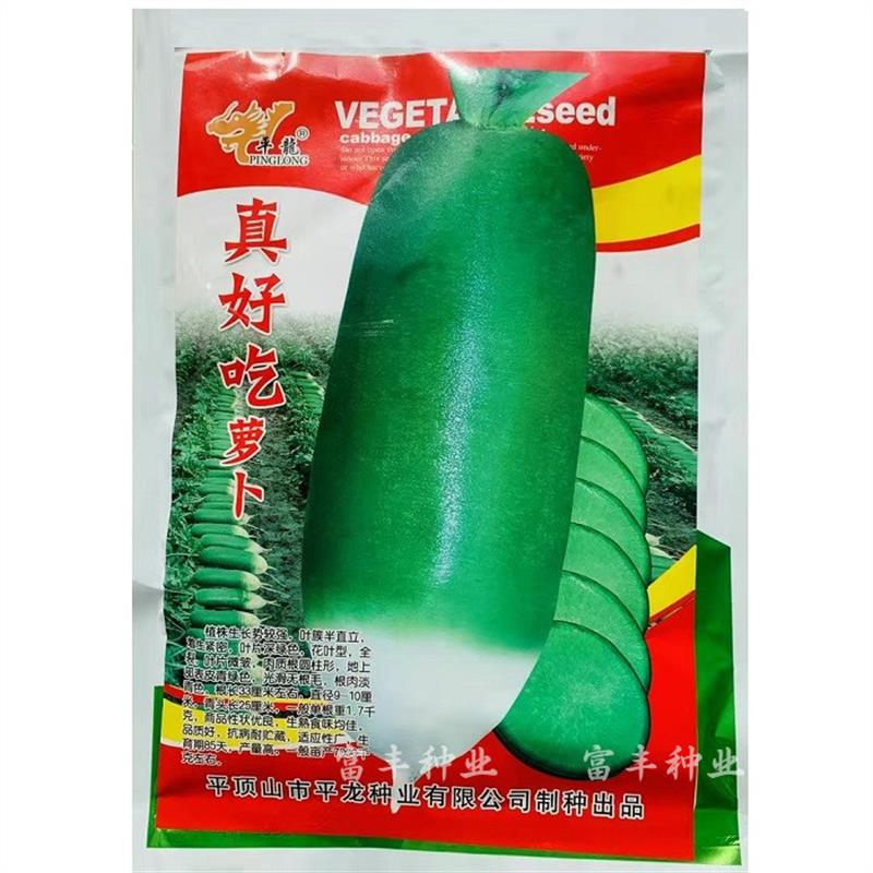 平龙真好吃青萝卜种子高产抗病脆甜791萝卜种籽秋播农家蔬菜种籽