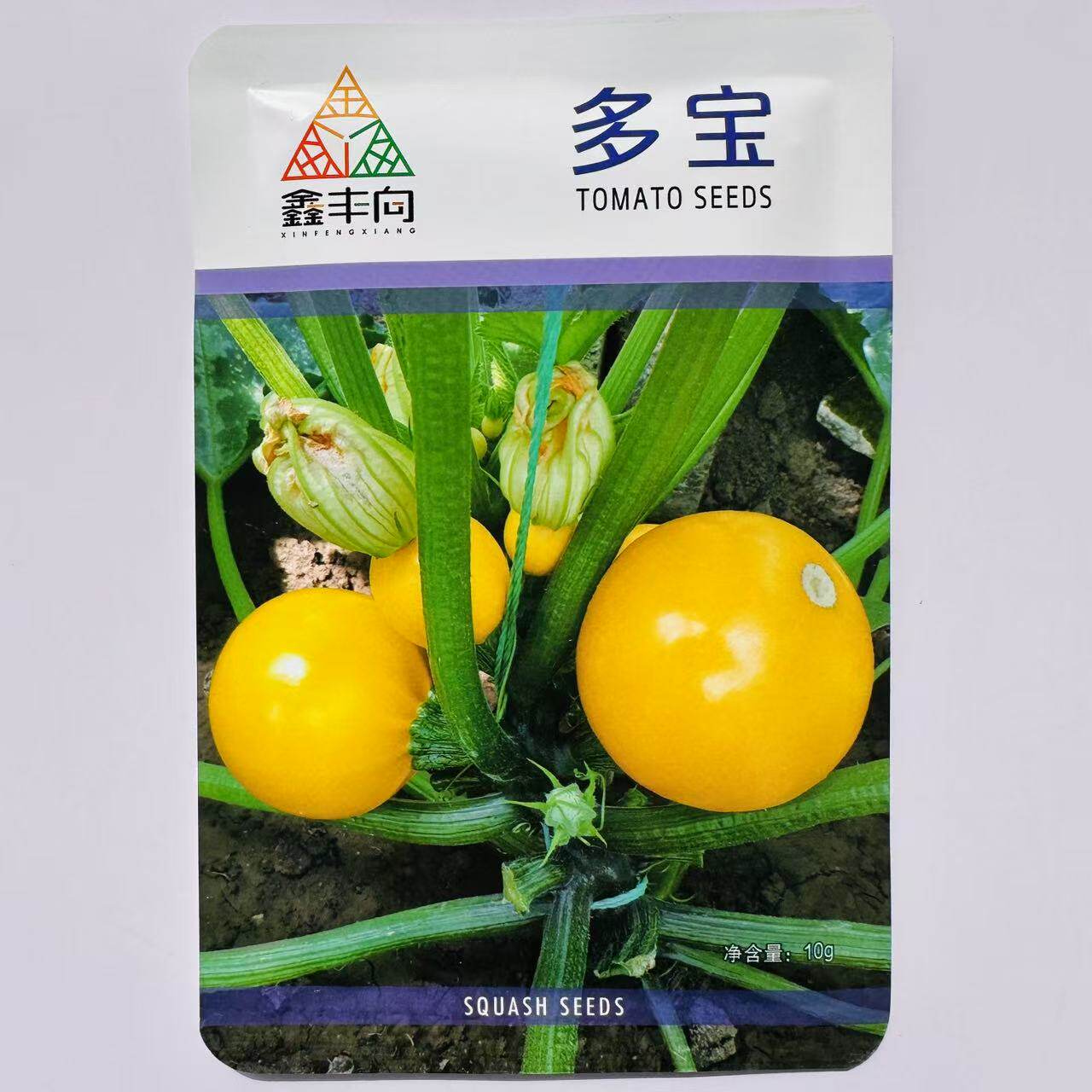 多宝苹果西葫芦种籽短蔓