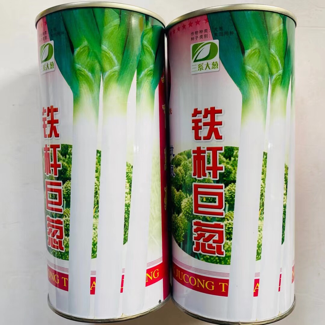 山东章丘大葱种子 铁杆寒葱 正宗铁杆葱 家用大葱子 种子蔬菜高产