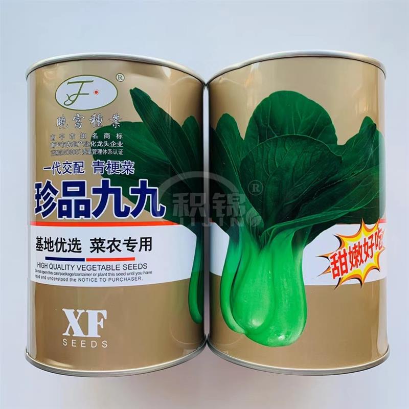 晓富珍品九九青梗菜种子早生高产耐热耐寒青菜种子四季蔬菜种籽孑
