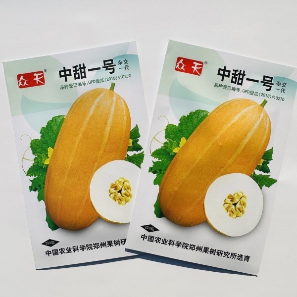 正品众天中甜一号甜瓜种子香甜厚皮甜瓜种籽香瓜皮色金黄果肉白色