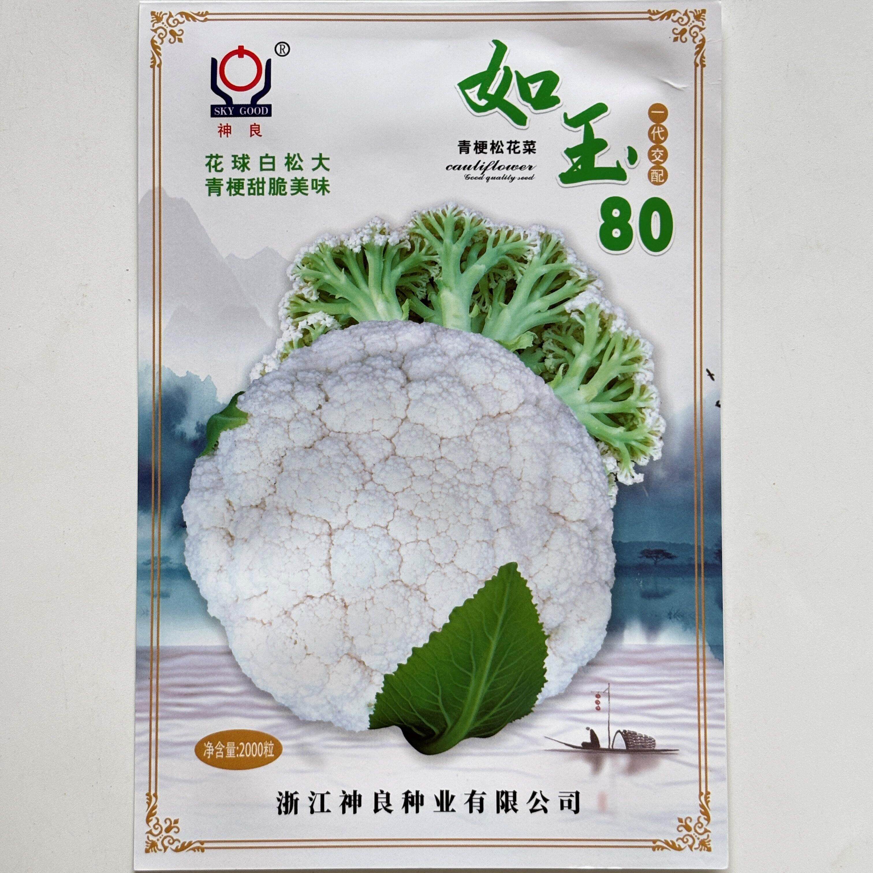 如玉80青梗松花菜种子中
