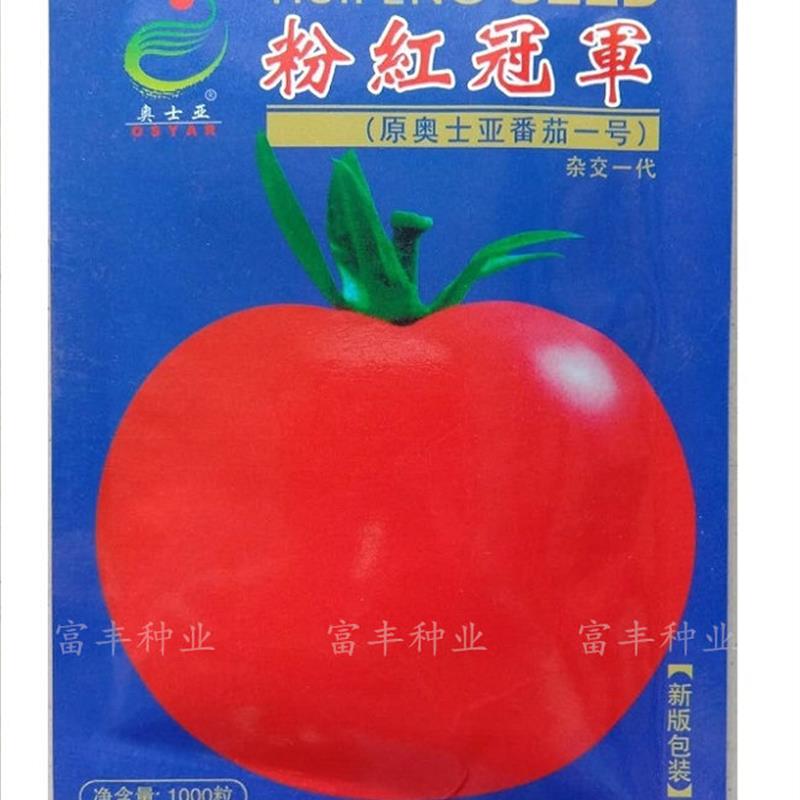 粉红冠军番茄种子大西红柿种子非转基因阳台盆栽四季播蔬菜籽高产