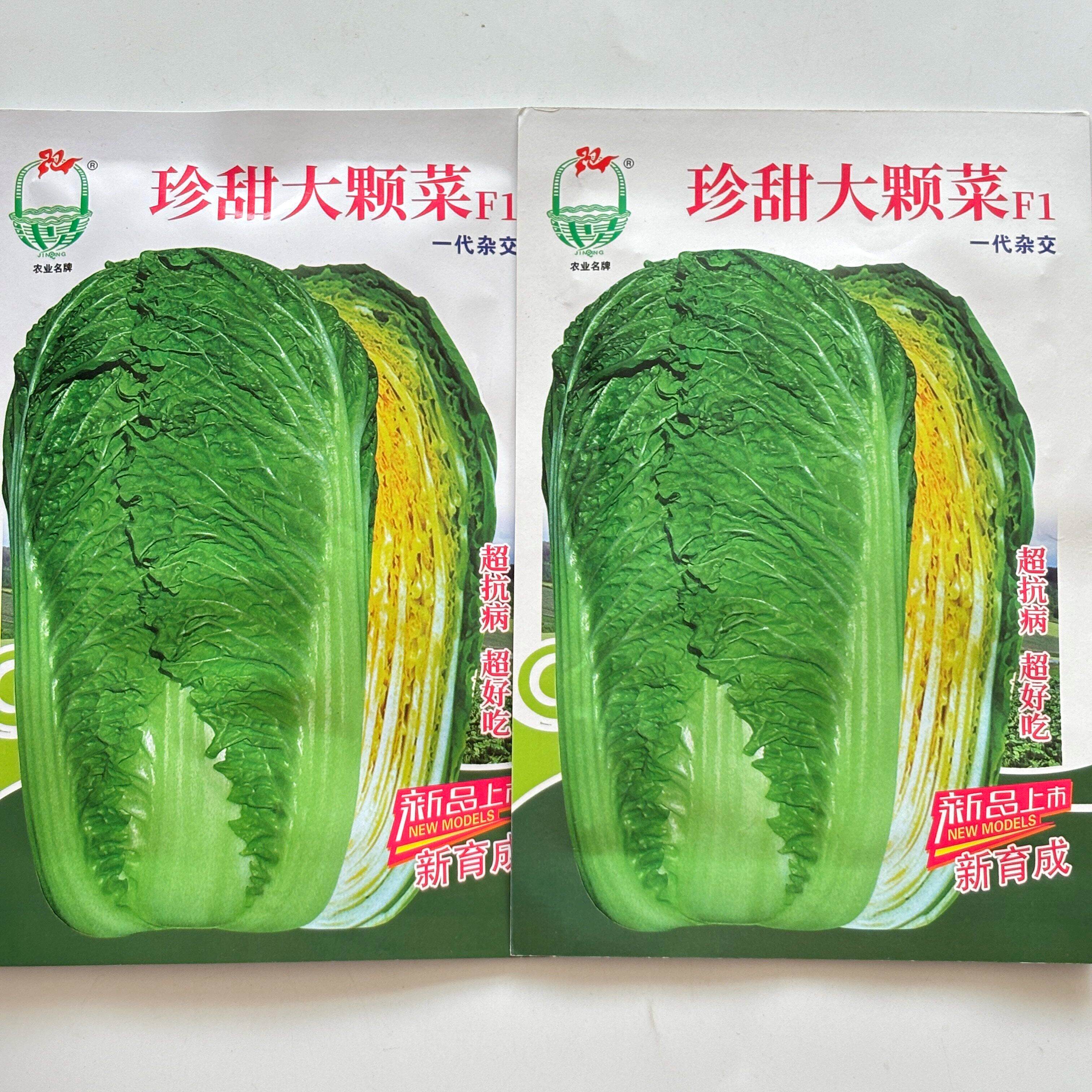 珍甜大颗菜青麻叶大白菜