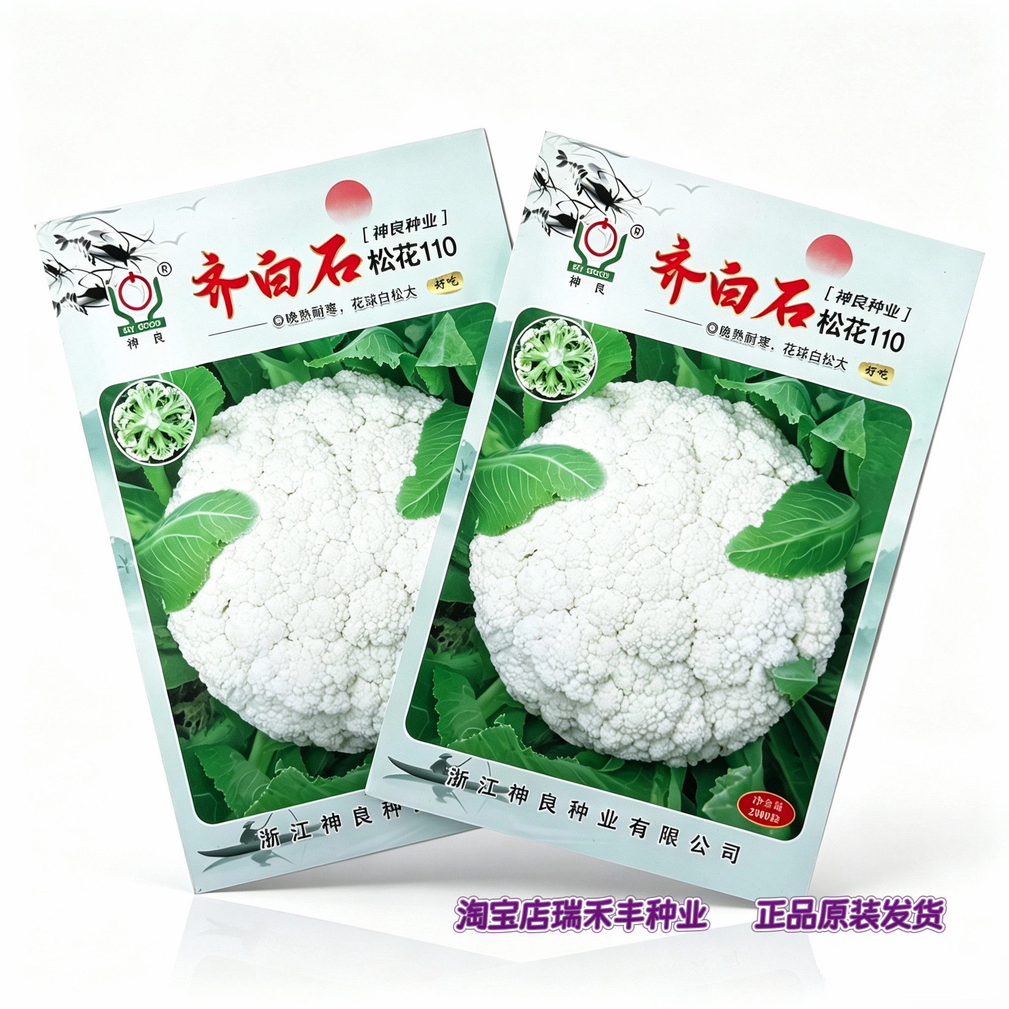 齐白石松花110菜种子早熟
