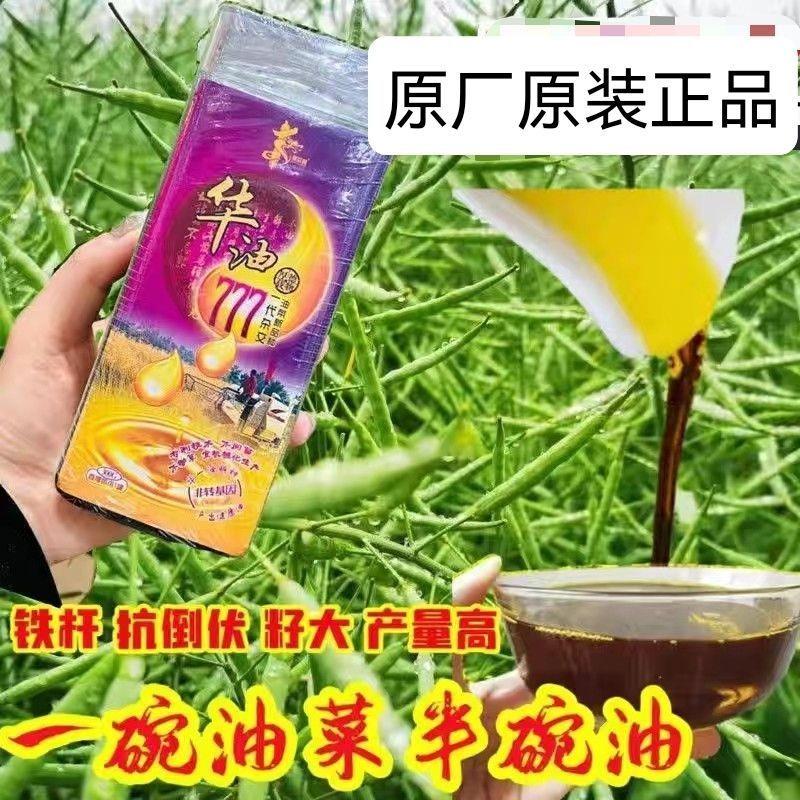 华油777杂交油菜种子耐寒抗旱抗倒伏农家大田高产榨油原料油菜花