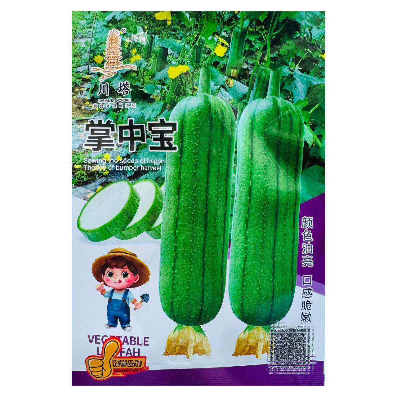 掌中宝肉丝瓜种子果实翠