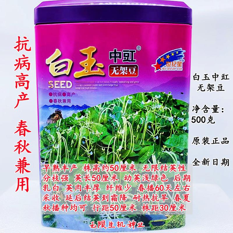 无架豆种子豆角春季四季豆种籽阳台豆种星白玉中豇豇豆菜豆孑