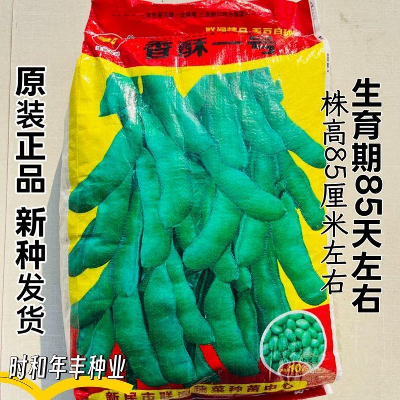 香酥一号毛豆种子口感甜糯高产抗病大荚青黄豆种籽菜用毛豆种籽孑