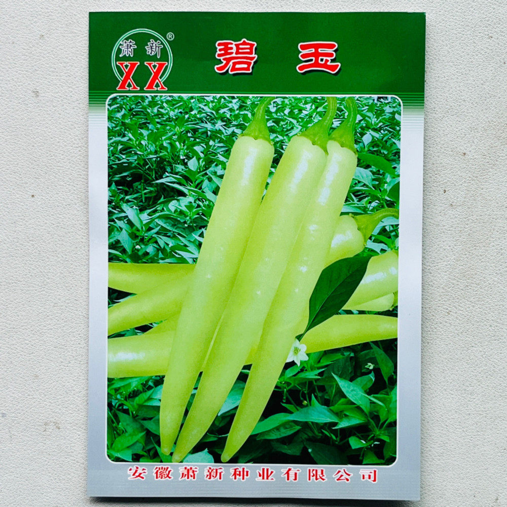 萧新碧玉羊角椒种子杂交