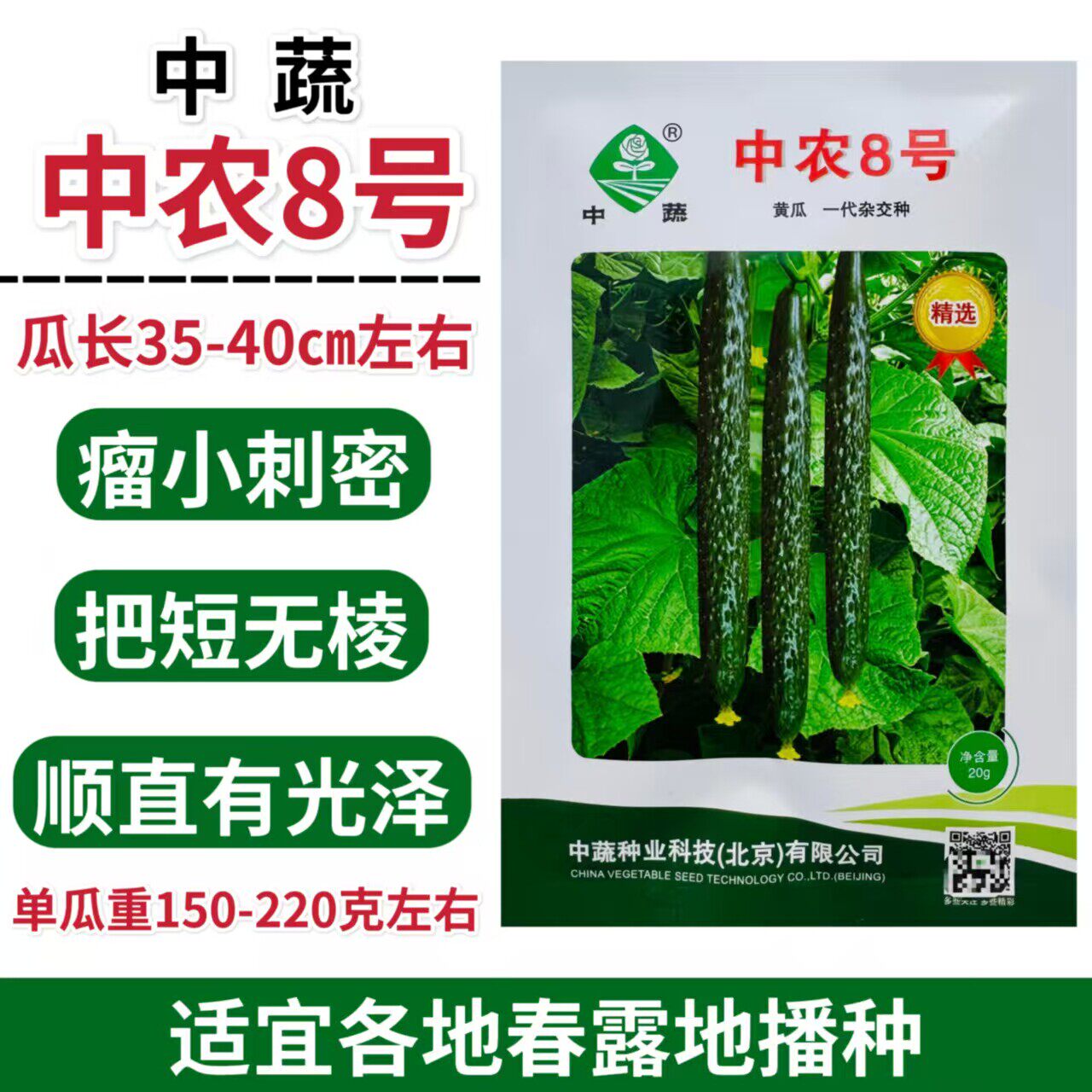 精选中农8号黄瓜种子春
