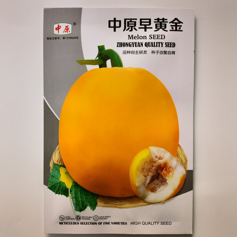 中原早黄金极早熟杂交甜瓜种子瓜圆形高糖肉白色肉质酥脆汁液多