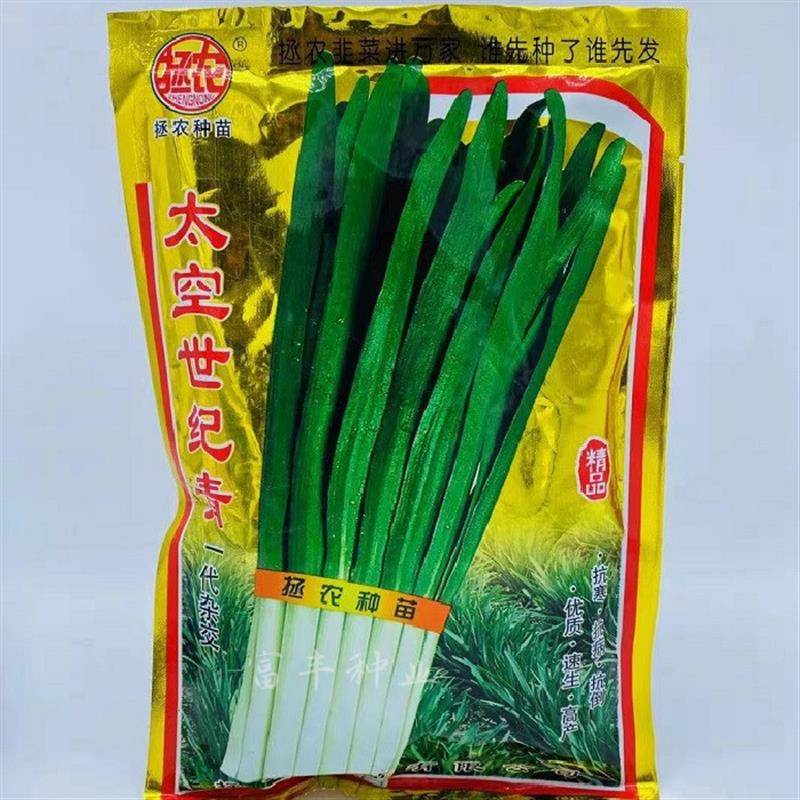 韭菜种子太空世纪青韭菜种子雪韭种子春季高产韭菜籽耐寒韭菜种子