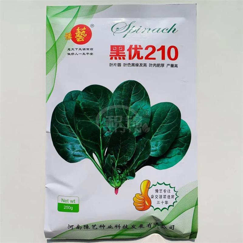 黑优210菠菜种子耐寒耐热大圆叶菠菜种籽耐抽薹抗霜霉病四季蔬菜