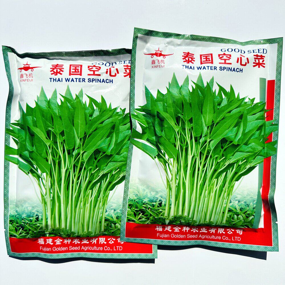 泰国空心菜种子蕹籽旱地