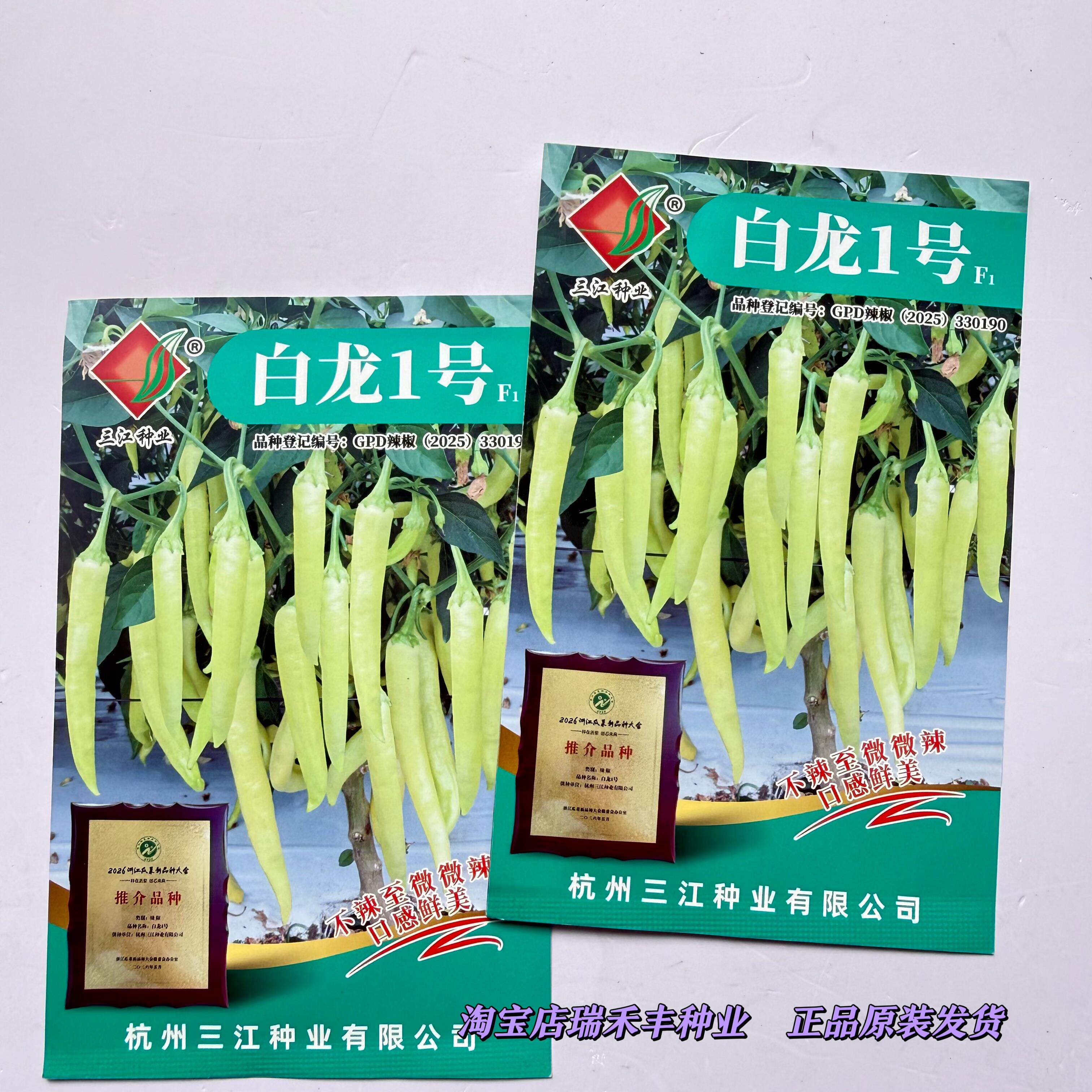 三江种业白龙1号辣椒种子
