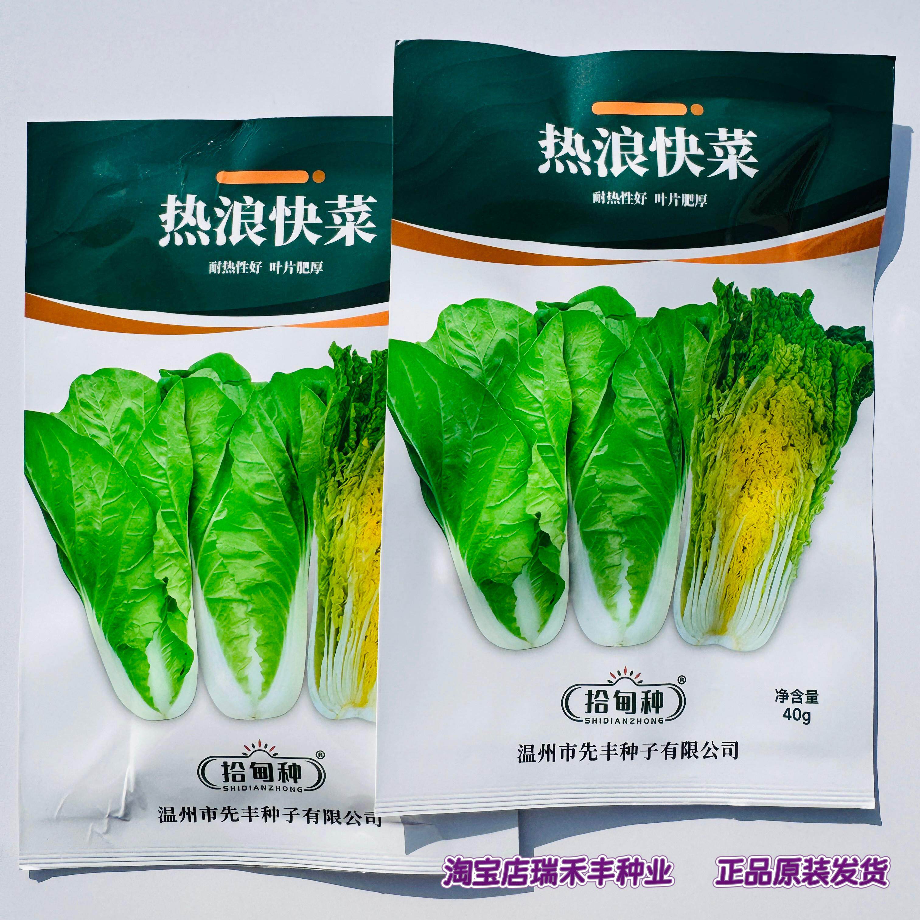 拾甸种热浪快菜种子叶肉