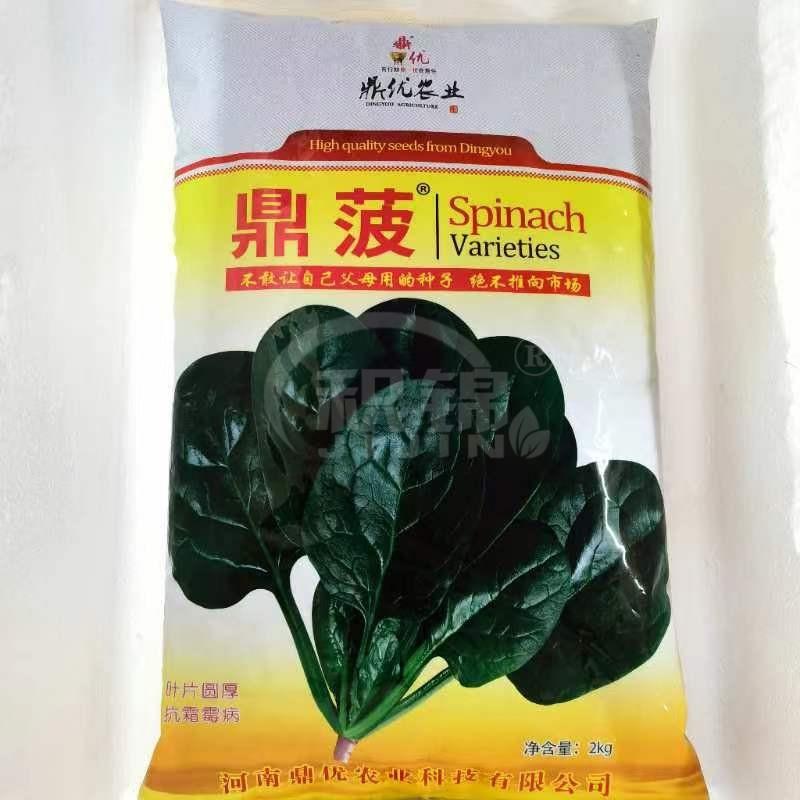 河南农业鼎优鼎菠菠菜种子中早熟秋冬季播种耐热耐寒优质菠菜籽种