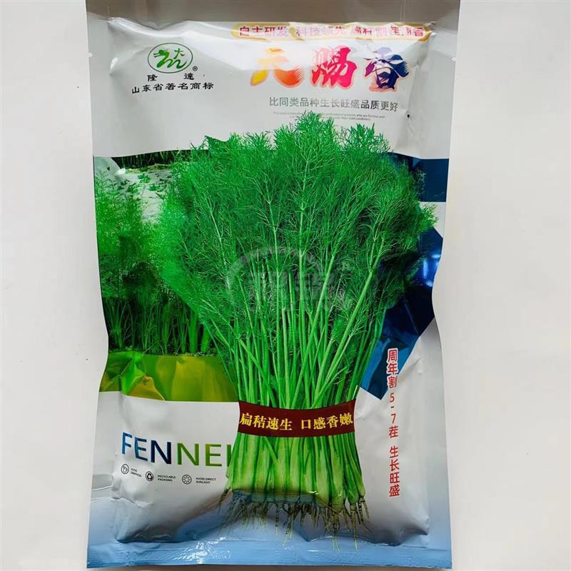 割茬小茴香籽茴香种籽茴香种子野生天赐香菜种籽阳台庭院蔬菜种籽