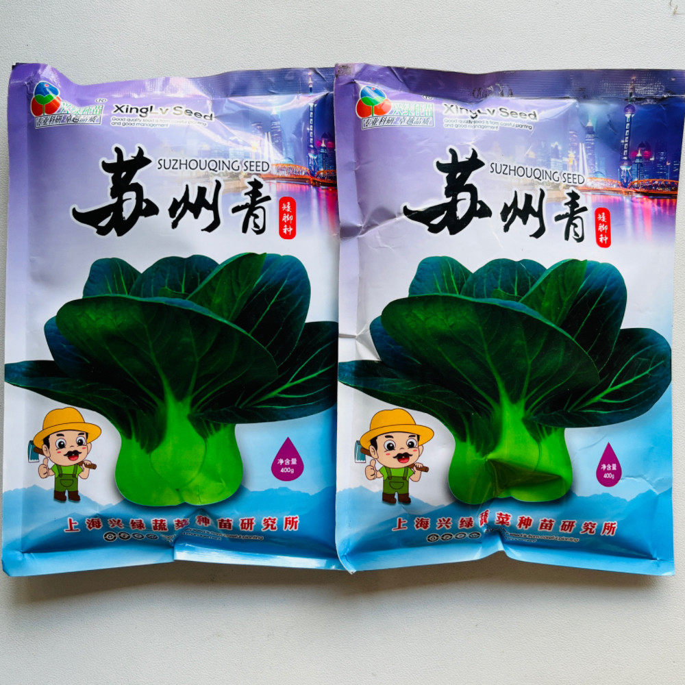 苏州青矮脚青菜种子高产