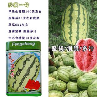 易坐果抗病沙漠一号西瓜种子地雷王西瓜种孑红皮薄耐运输花皮包邮