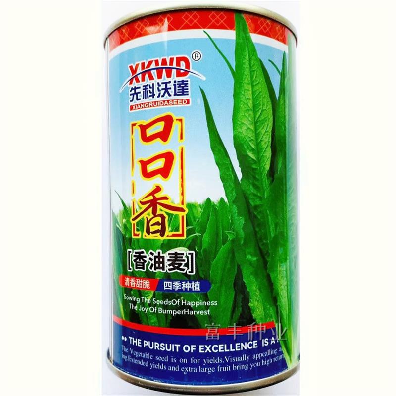 油麦菜种子口口香油麦菜种籽甜脆无苦味四季无斑香油麦农家蔬菜籽
