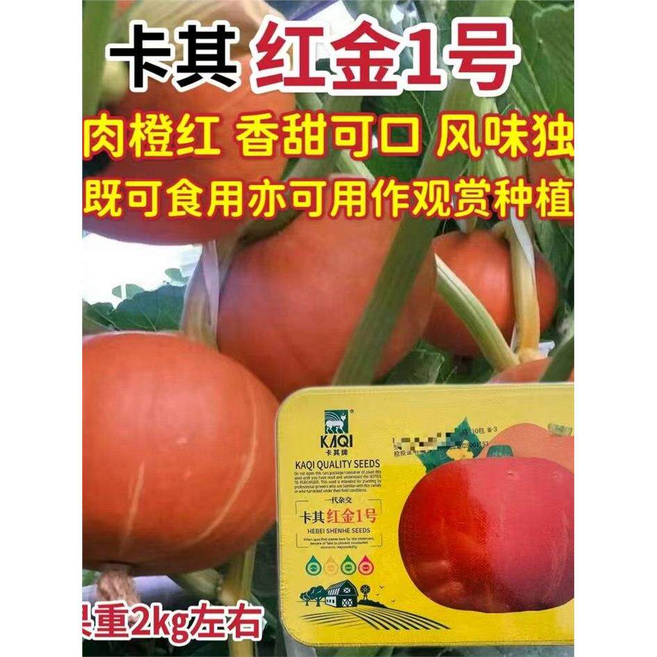 卡其红金1号南瓜种子红瓤