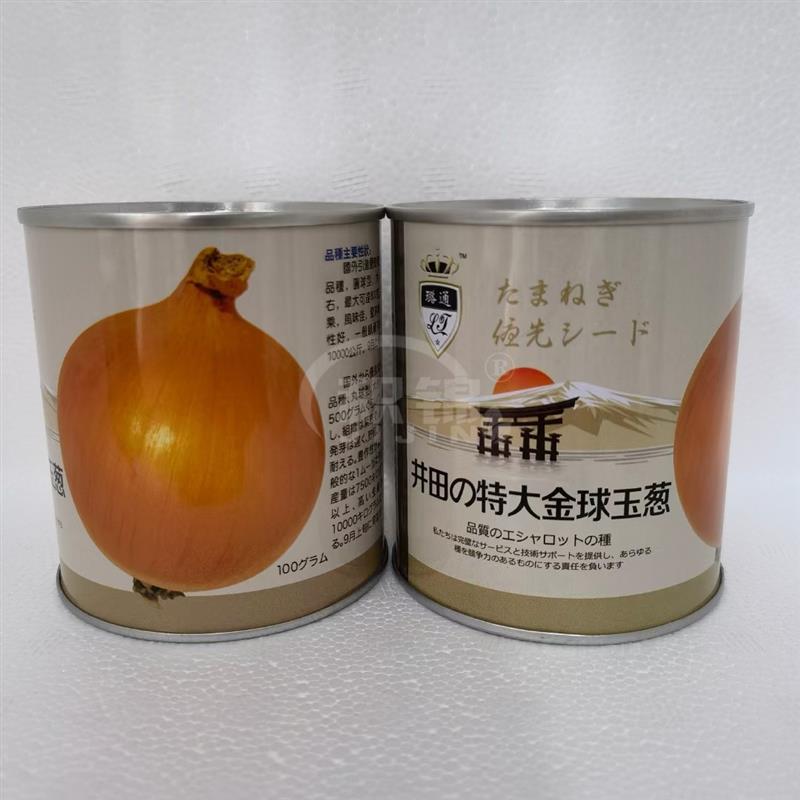 井田特大金球玉葱洋葱种子国外引进优质大果高产抗病商品佳春秋播