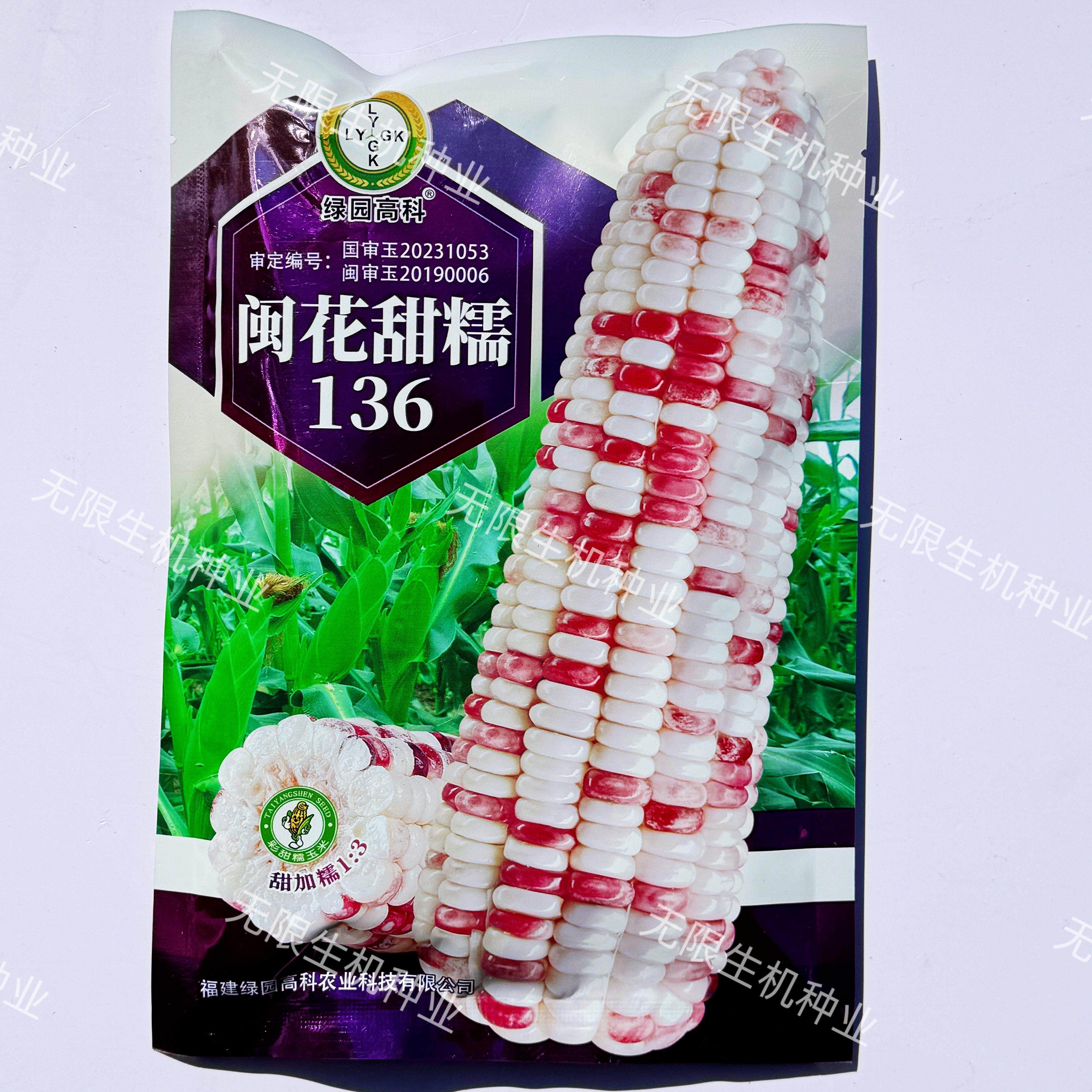 闽花甜糯136玉米种子高产