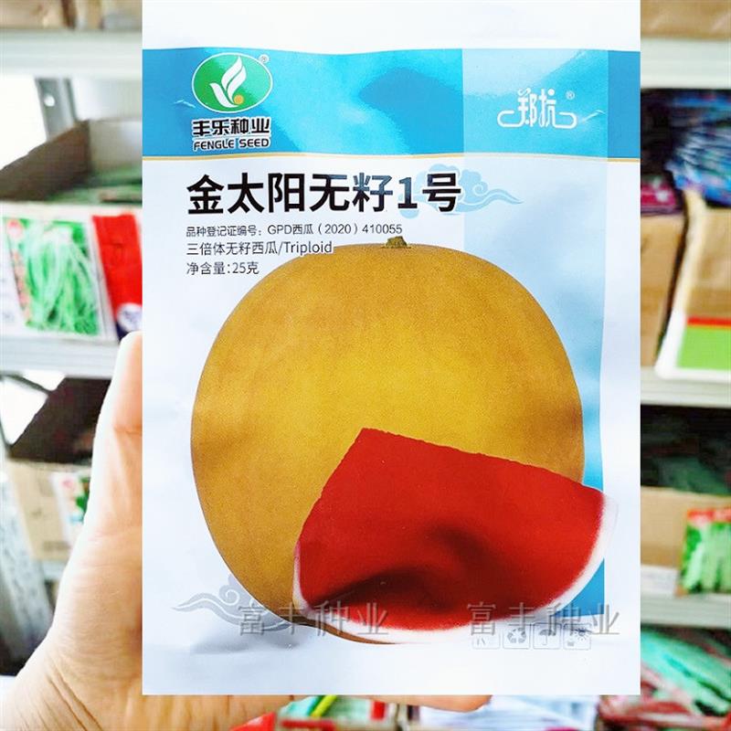 金太阳无籽一号西瓜种子高产黄皮红瓤西瓜种子礼品西瓜种子