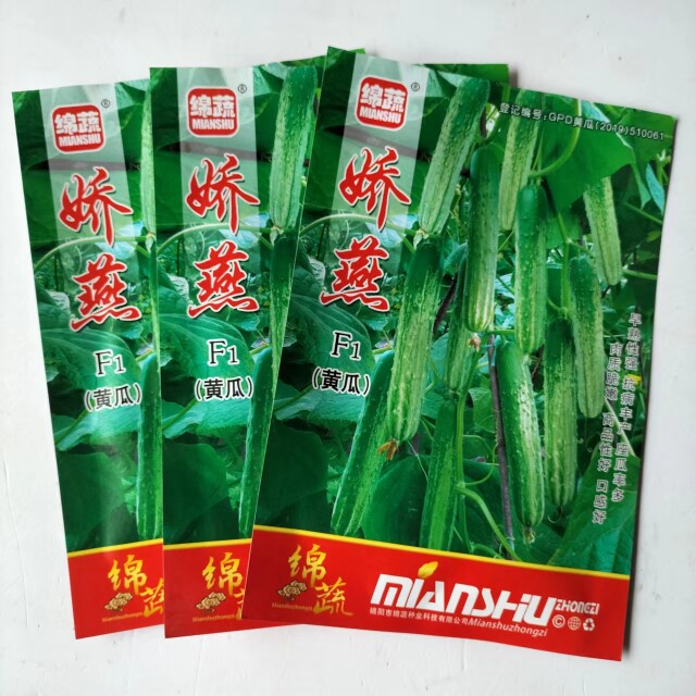 绵蔬娇燕黄瓜种子绿白黄瓜种籽旱黄瓜四川春秋季农家田园蔬菜种孑
