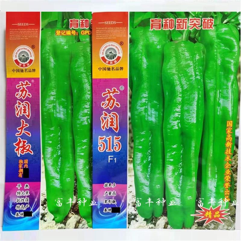 苏润大椒大果型牛角椒种子早熟微辣粗长牛角青椒种籽挂果多膨果快