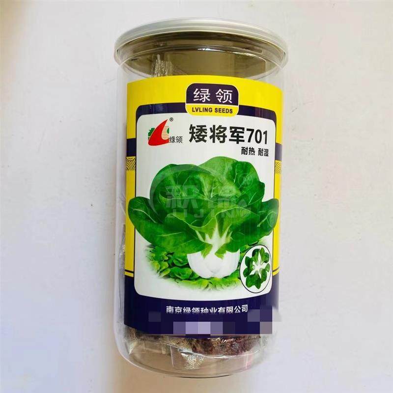 绿领矮将军701矮脚菜种子奶白菜种籽南北方春夏秋冬季四季播蔬菜