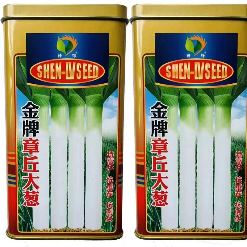 山东章丘大葱种子四季葱种子葱苗蔬菜种籽香葱小孑葱籽蔬菜葱种籽