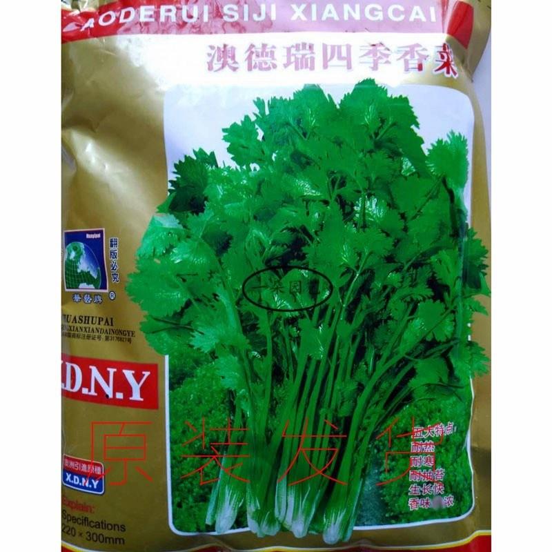 华蔬澳德瑞四季进口速强202香菜种籽早熟耐热耐寒四季播芫荽种子