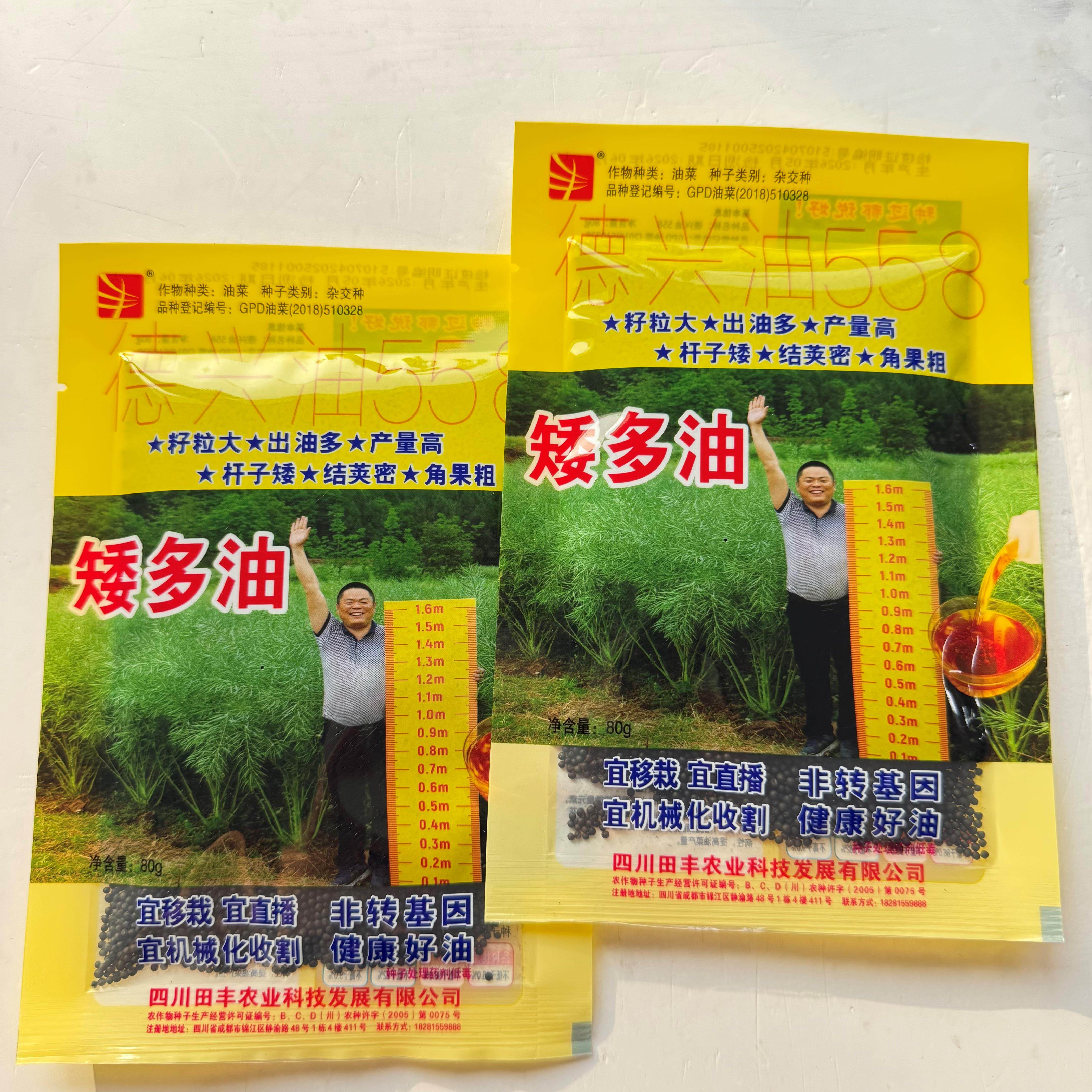 德兴油558矮多菜种籽超高