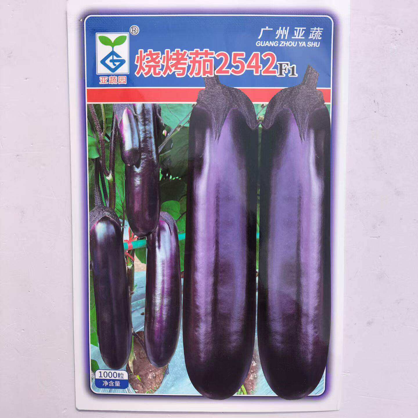 烧烤茄2542中熟茄子种子