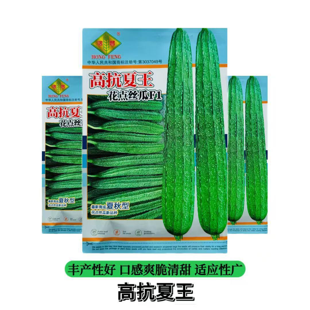 高抗夏王大肉花点丝瓜种子夏秋花点大肉丝瓜种子肉厚香味浓丝瓜籽