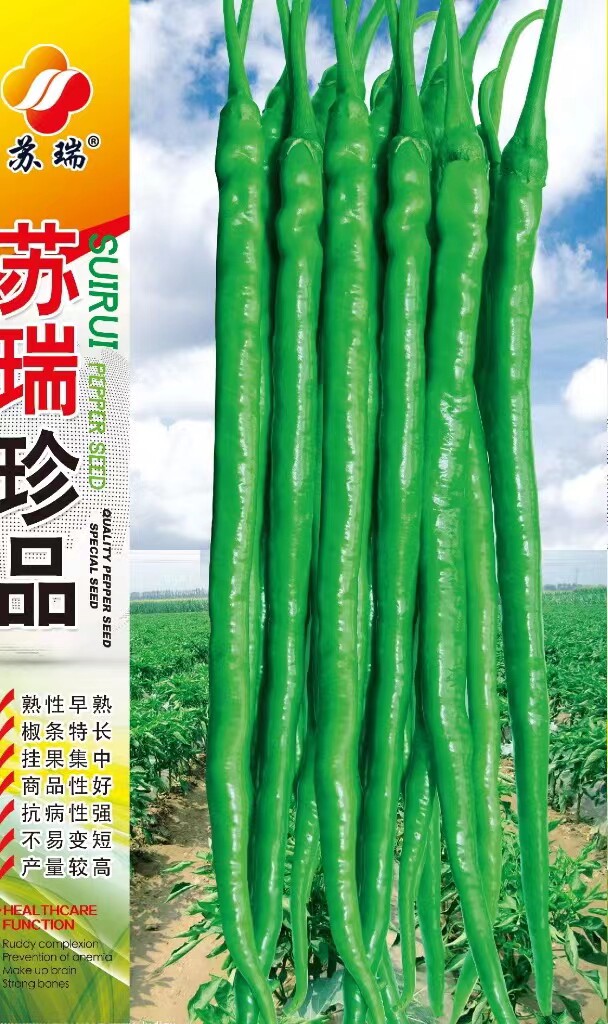 苏瑞珍品线椒种子辣椒种超辣四季香辣高产长蔬菜种籽辣椒子种孑
